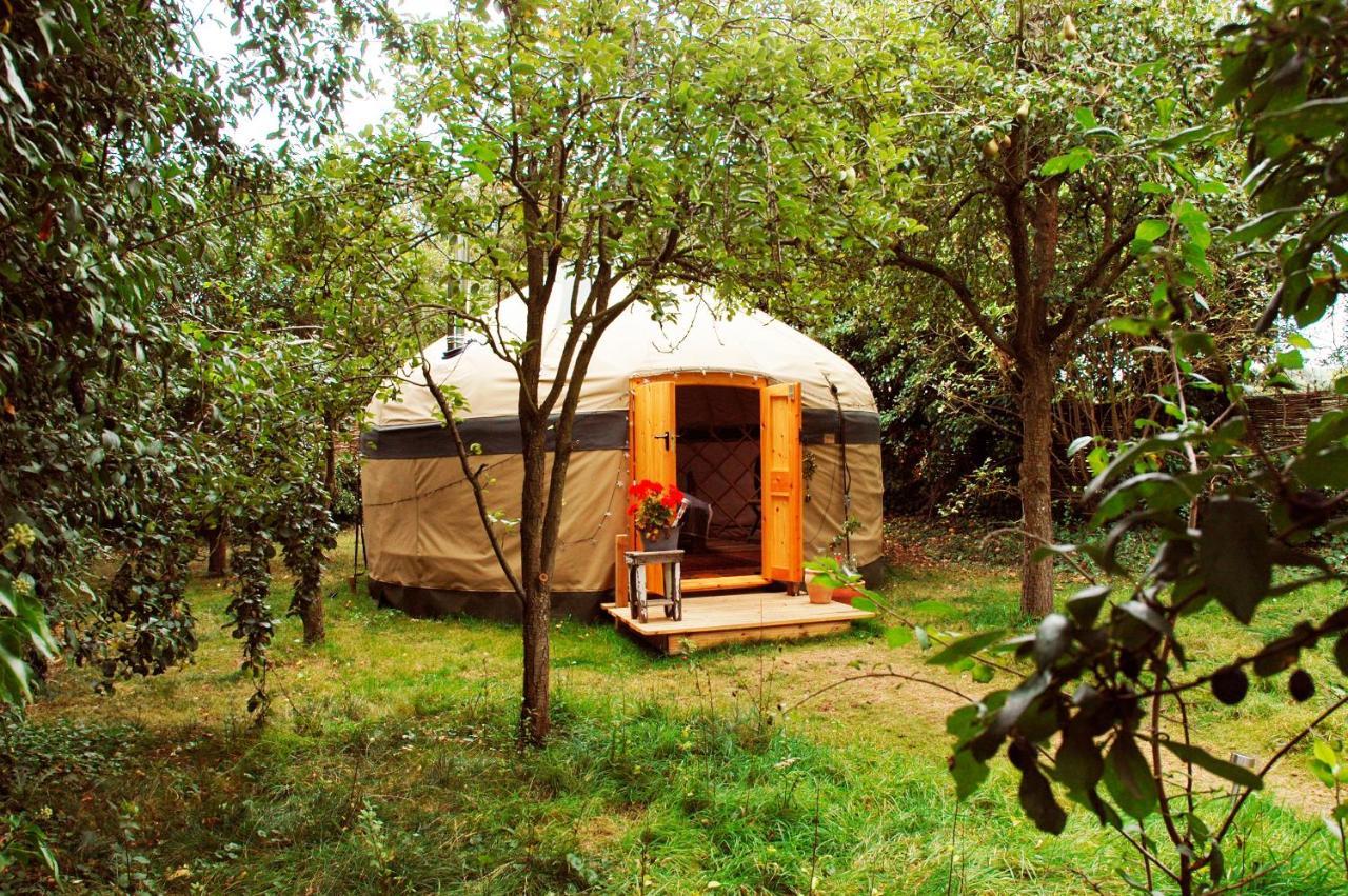 ホテル Stamford Meadows Glamping With Private Hot Tubs エクステリア 写真