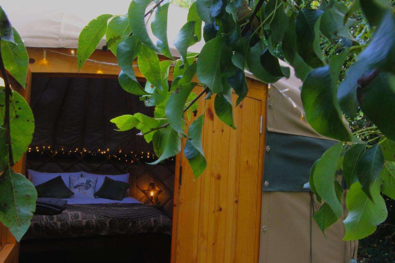 ホテル Stamford Meadows Glamping With Private Hot Tubs エクステリア 写真